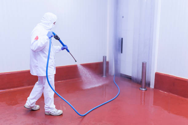 Best Playground Equipment Cleaning  in Shasta, CA