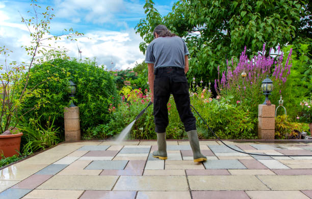 Best Driveway Pressure Washing  in Shasta, CA